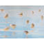 Birds By The Waters Edge Print by Phyllis Adams-64401522