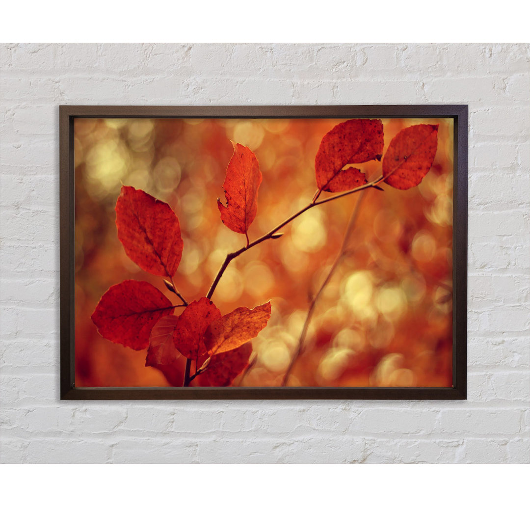 Leaves In Autumn Framed - Single Picture Frame Kunstdrucke auf Leinwand