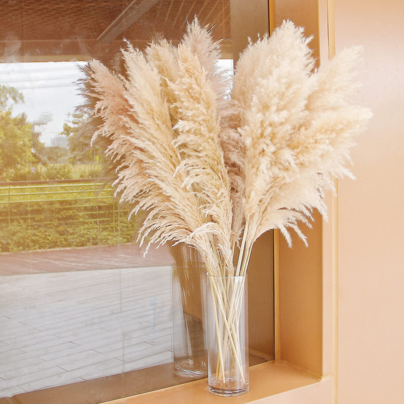 Pampa Arrangement
