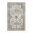Oriental Indoor Rug-1172918766
