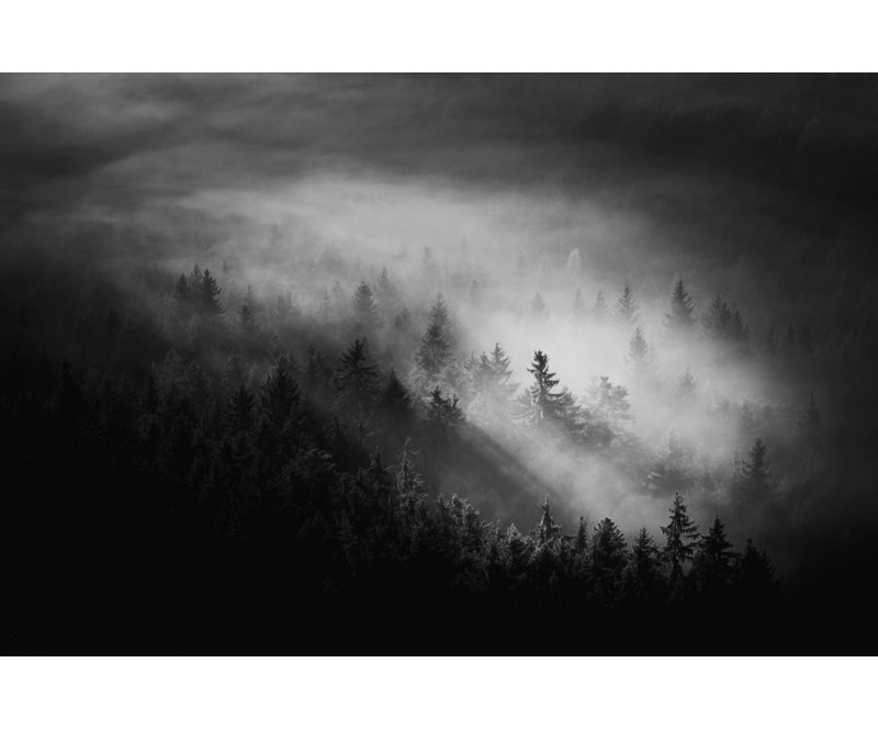 Wrapped Canvas Print, 50.8 cm H x 76.2 cm W