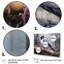«Bird Inquisitive Observer II», reproduction d'art sur toile-566184813-566184804
