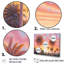 Rose radiance coucher de soleil palmiers V-97092861-97092862