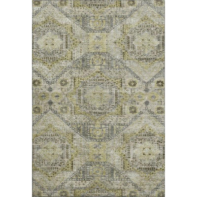 Premium Machine Washable Alaina AMF1929 Global Rug