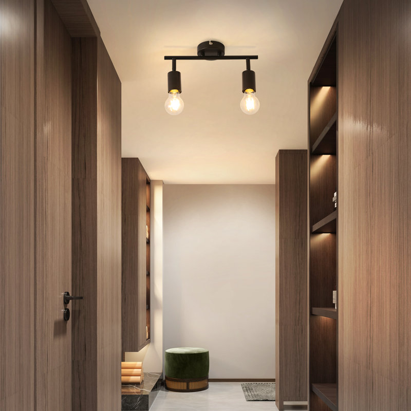 Analyah Ceiling Spotlight