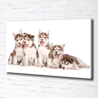 Husky Puppies - Wrapped Canvas Print