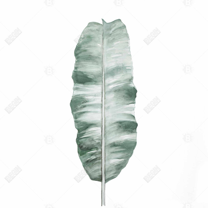 " Banana Leaf "
