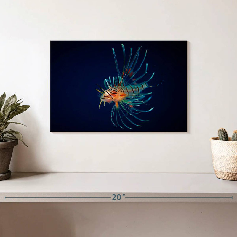 Poisson-lion coloré Brampt, H 8 po x l 12 po