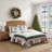 Tommy Bahama Palm Tree Patchwork Green Cotton Reversible Quilt Set-117431412