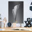«Calla No. 4» par PhotoINC Studio-1996473088