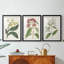Antique Botanical Collection X - reproduction sur mesure encadrée de qualité supérieure - 3 pièces-1497497495-1497497577