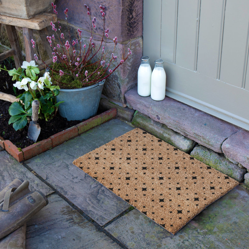Non-Slip Indoor Doormat