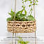 Rebrilliant Rattan Decorative Basket