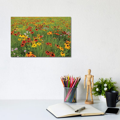 Colourful Prairie by Brian Wolf - Wrapped Canvas Print