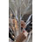 The Holiday Aisle® 6FT BirchTree