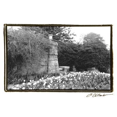 Garden Grace II by Laura DeNardo - 1 Piece Wrapped Canvas Wall Art