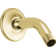 Universal Showering Components Shower Arm and Flange