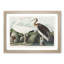 White Ibis Bird & Lobster by John Audubon - Framed Print-55612804-55612803