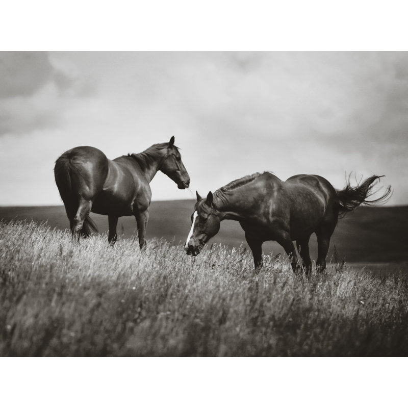 «A Summer's Day II» sur toile par Esther Marie, H 12 po x l 16 po