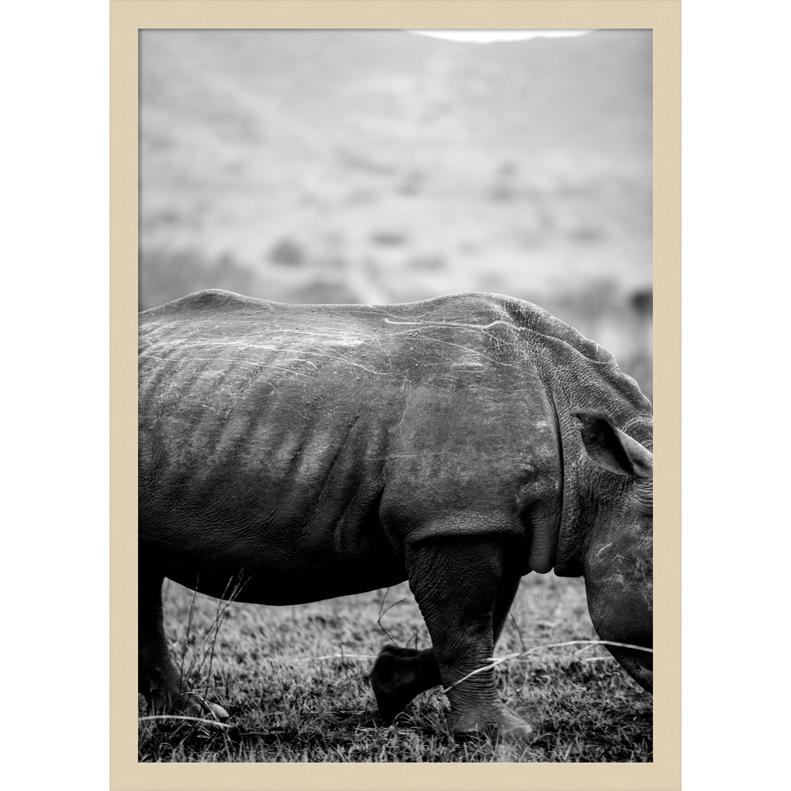 Pepperidge "Black Rhino" Print, Brown, 25" H x 18" W