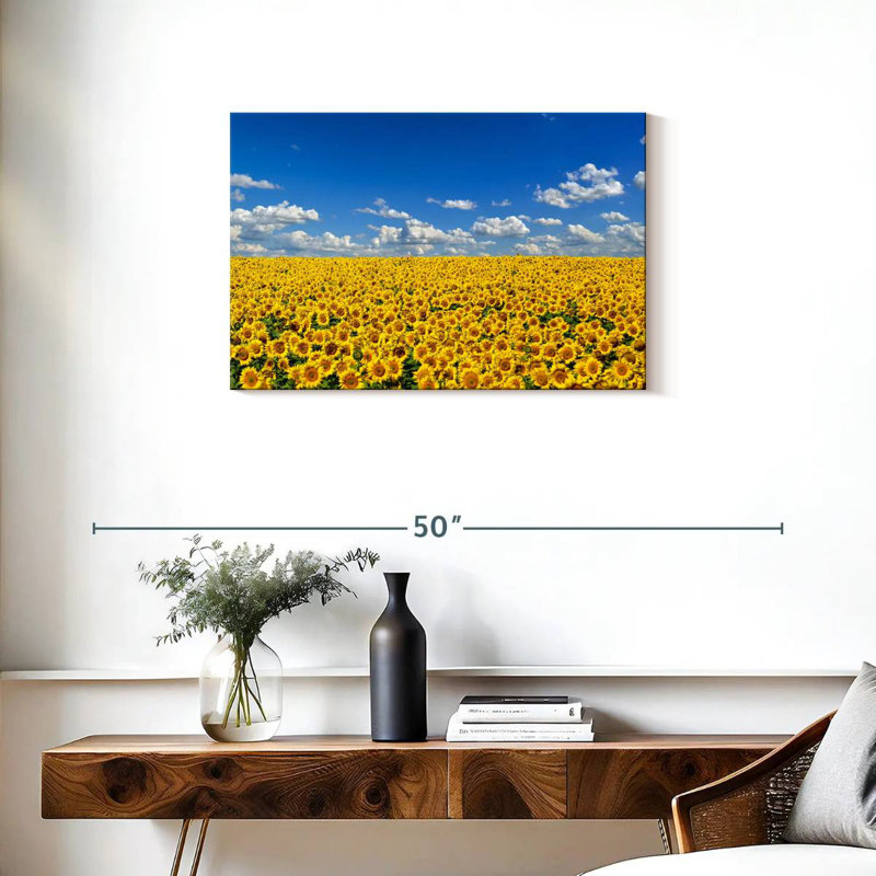 Grand champ de tournesols Alvord, H 20 po x l 30 po