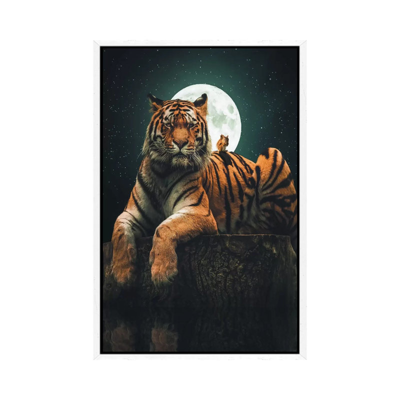 Tiger Squirrel by Zenja Gammer - Print on Canvas, 66.04 cm H x 45.72 cm W, White Framed