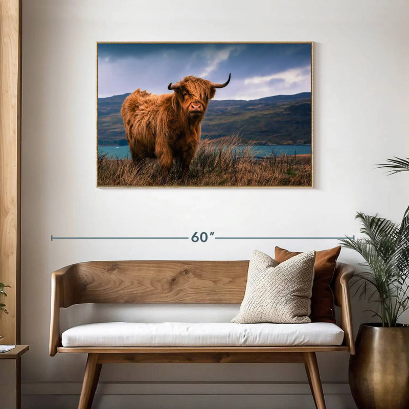 Grande vache Highland, Cadre flottant en bois naturel, 43 po x 29 po