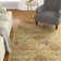 Dunbar Hand Tufted Wool Oriental Rug