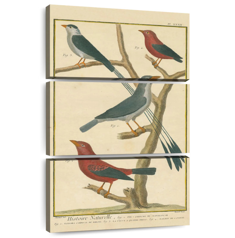 Brampt Bird Drawing I, 32" H x 20" W