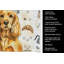 Serviette de cuisine Coffee Bar-1234934313