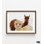 Reproduction de photo d'alpaga, reproduction encadrée de portrait d'alpaga, reproduction de photographie animalière, art mural de ferme, impression fabuleuse d'alpaga, art mural encadré