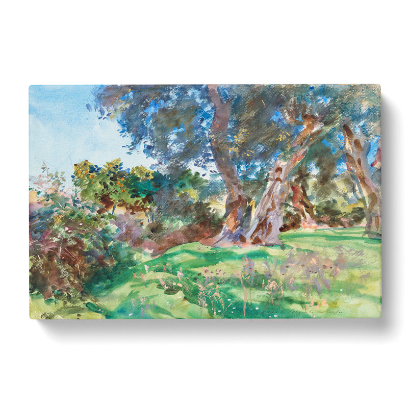 Olive Trees by John Singer Sargent - Wrapped Canvas Painting, 50cm H x 76cm W x 3cm D