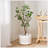 ARTIFICIAL MILAN LEAF BONSAI-349749786