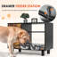 Grande station d'alimentation pour animaux de compagnie, armoire de rangement pour aliments pour chiens, armoire d'entrée