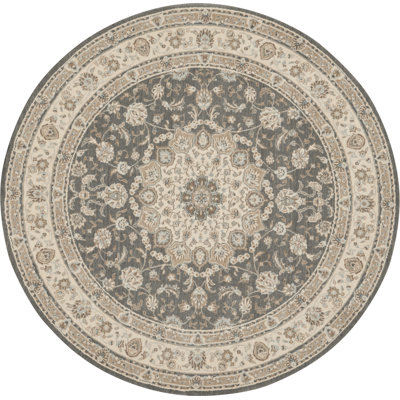 Oriental Indoor Rug