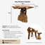 Burruss Solid Wood Tree Stump End Table
