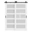 Portes doubles de grange coulissantes 56 "x 80" 5-Lite-117400867
