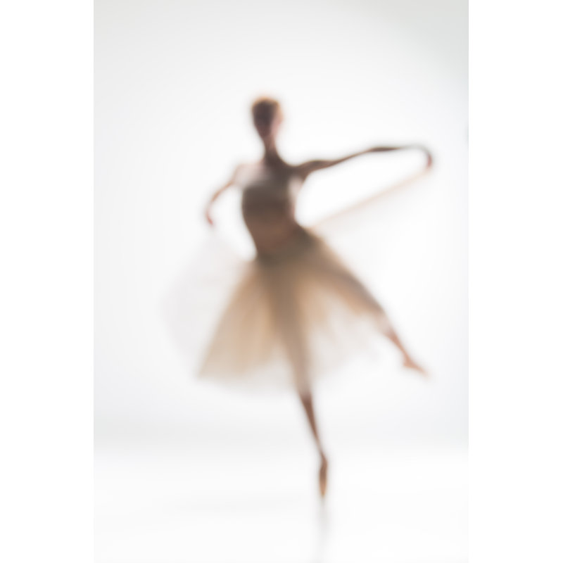 Silhouette Pf Ballerina by Master1305 - Wrapped Canvas Print, 91cm H x 61cm W x 3.8cm D