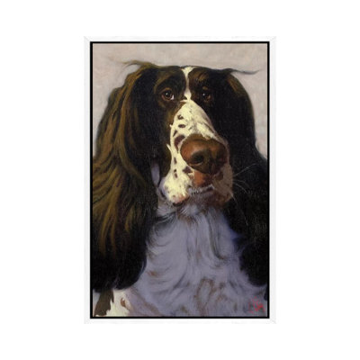 Springer by Thomas Fluharty - Gallery-Wrapped Canvas Giclée on Canvas