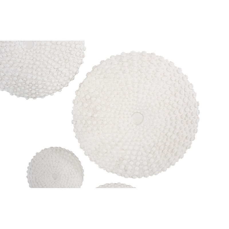 Sea Urchin Wall Art, Set Of 4