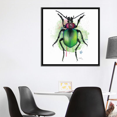 " Calosoma Sycophanta " by Nettsch