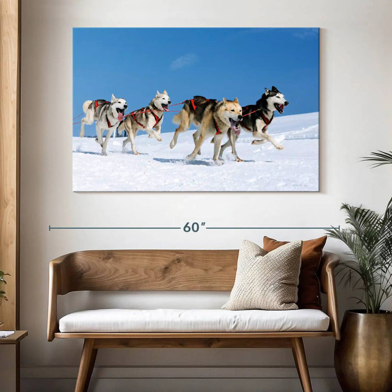 Chiens de traîneau Husky, H 34 po x l 51 po