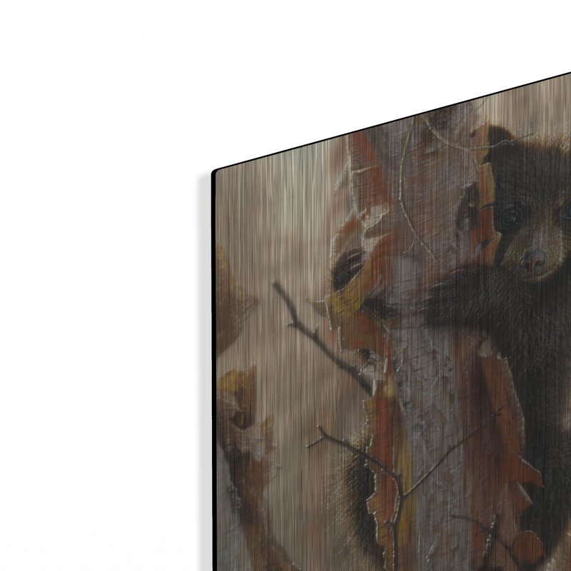«Curious Cub II» par Collin Bogle, art mural en métal, 24 po x 24 po, H 12 po x l 12 po