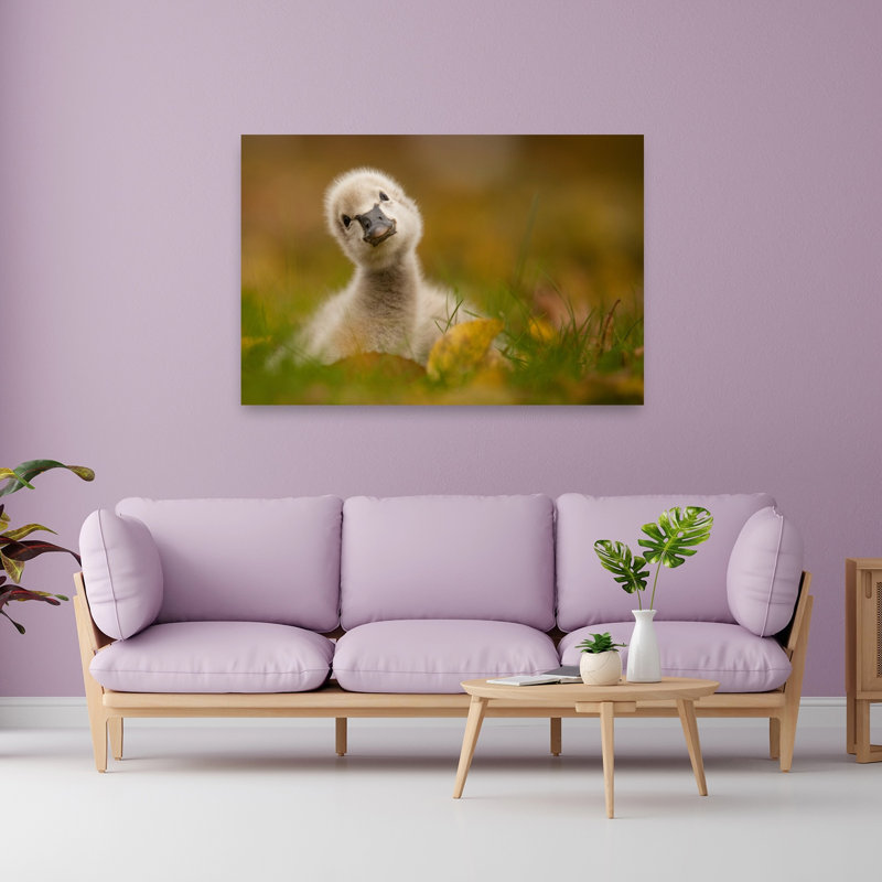 Curious Baby Swan Peaceful Abstract Contemporary Bird Autumn Nature Wall Art Print by Robert Adamec - Wrapped Canvas Print