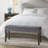 Manoharan Polyester Upholstered Bench