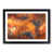 Black Framed selected