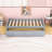 Casstown Twin Daybed with Two Drawers-1676685316