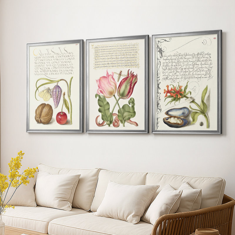 Hoefnagel Tropical Specples IX - Toile tendue avec châssis encadré - 3 pièces, H 21 po x l 30 po, Argent argent