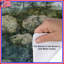 Mountain Forest Landscape Duvet Covers-125233503