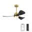 Boun 42'' Ceiling Fan with LED Lights-2018934244-2018934245